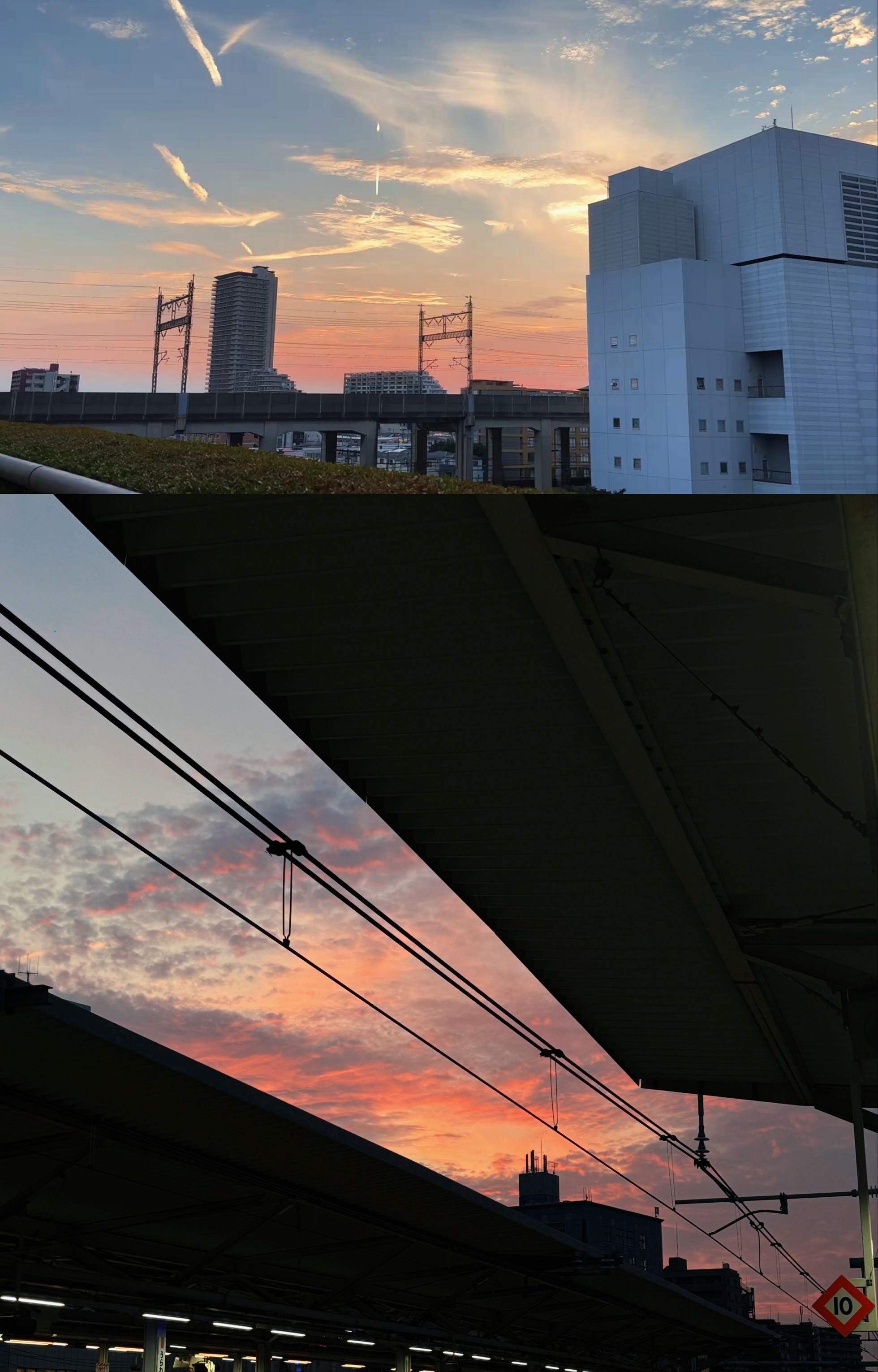 hikari